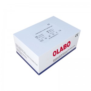 Amphetamine Test Kit (Colloidal Gold)