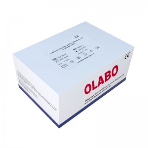 Combined Detection Kit For Influenza A/B (Colloidal Gold)