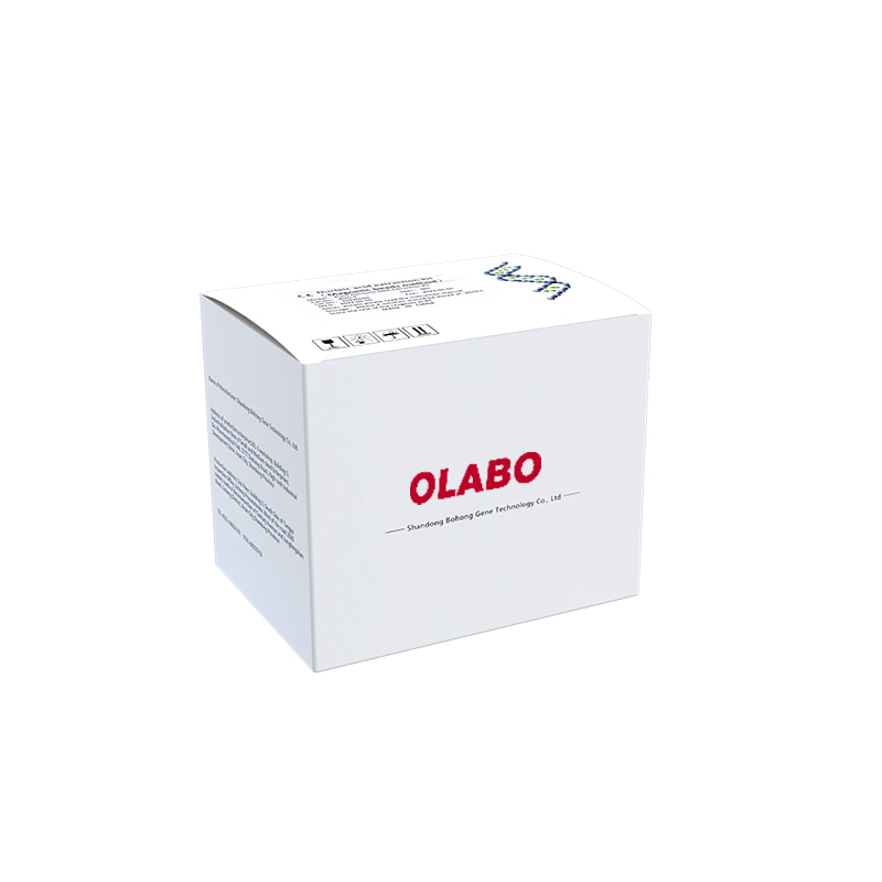 Nucleic Acid Extraction Kit （Magnetic Beads Method） Plant Genomic DNA