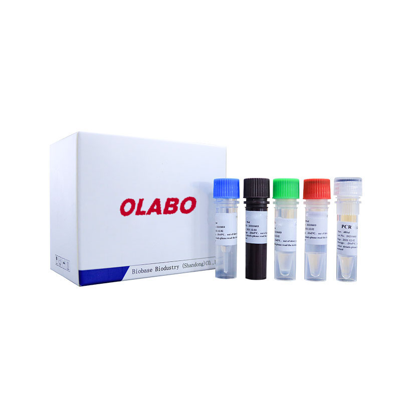 Novel Coronavirus (2019-nCoV) Nucleic Acid Detection Kit (Fluorescence PCR)