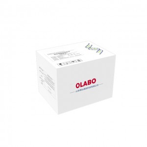 Nucleic Acid Extraction Kit (Magnetic Beads Method) Virus Genomic DNA