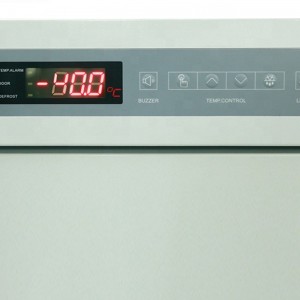 Cheapest Price China Cold Room Freezer Cold Storage Room Nice Price Low Temperature