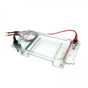OLABO Laboratory Horizontal/Vertical Electrophoresis Power Supply