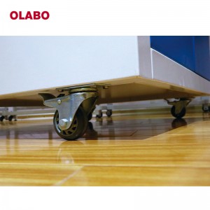 OLABO Manufacturer Ducted Fume-Hood(P) For Lab