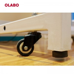 OLABO Vertical Laminar Flow Cabinet with HEPA Filter and UV Lamp
