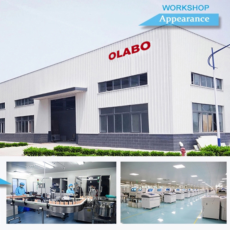 Welcome to  know more about Our Group Company
