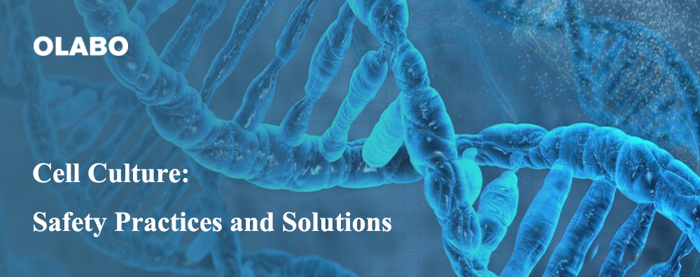 Cell Culture: Safety Practices and Solutions
