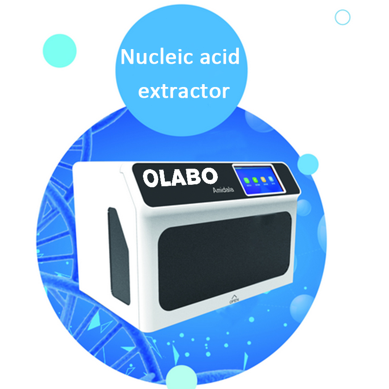 Wholesale Dealers of Types Of Biochemistry Analyzer - Lab Using Auto Nucleic Acid Extraction System BNP96 – OLABO detail pictures