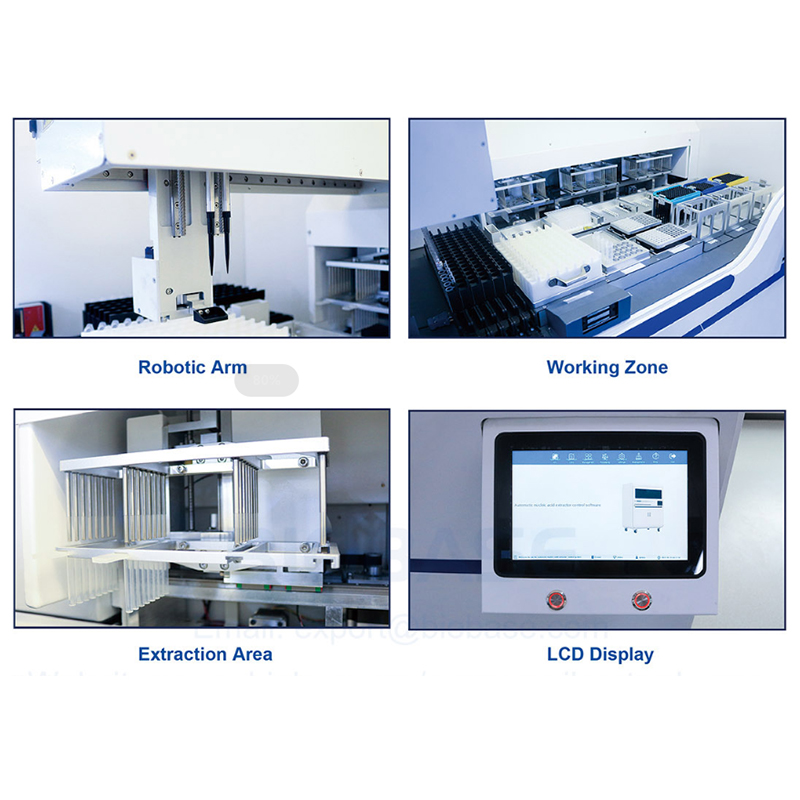 Factory wholesale Fully Automated Chemistry Analyzer - OLABO Automatic Nucleic Acid Extraction System – OLABO detail pictures