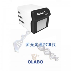 Popular Design for China Medcial Equipemt PCR Thermal Cycler DNA Testing Machine Bio Rad Thermal Cycler