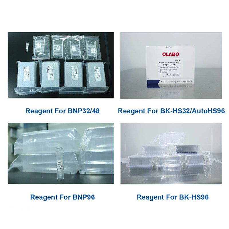 OLABO Nucleic Acid Test Detection Kit Reagent
