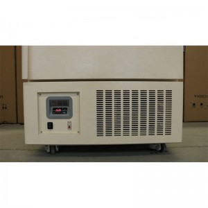 OEM Customized China Large Capacity Low Temperature Deep Freezer Refrigerator