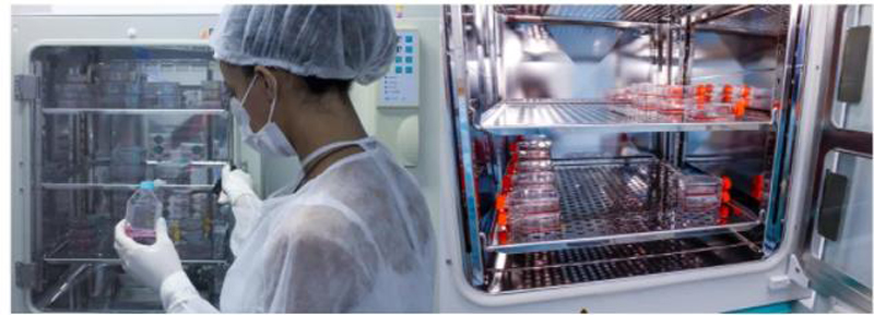 2021 wholesale price Microbiology Incubator Price - OLABO China Supplier 50L 80L 160L Digital Display CO2 Incubator – OLABO