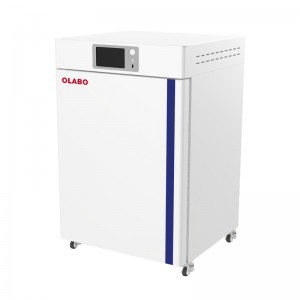 OEM Supply China Cell Culture CO2 Incubator with Long Life Compressor