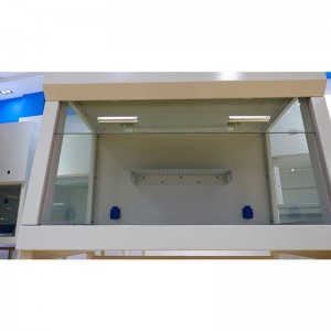 Good quality China Laboratory Equipment Medical Horizontal Laminar Flow Biosafety PCR Cabinet
