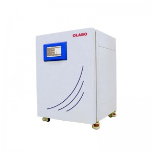 China New Product China Biometer Vertical Large Capacity Thermostatic Incubator