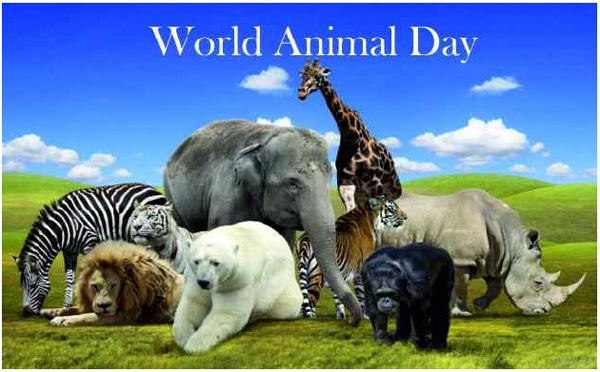 World Animal Day 2021  October 4