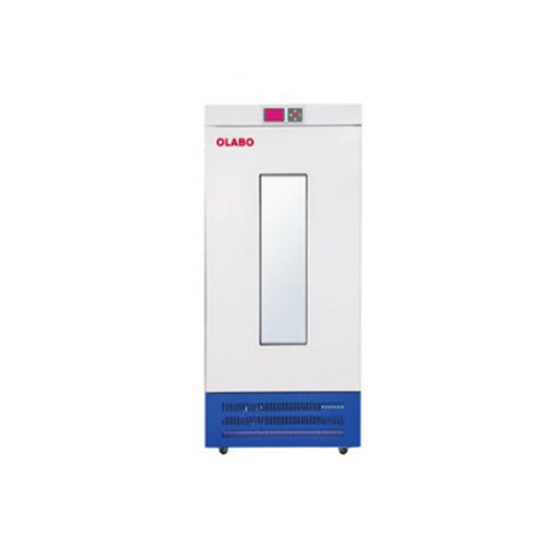 Factory Customized China Laboratory Equipment High Precision Medical Lab Supplies Biochemical Mould Incubator