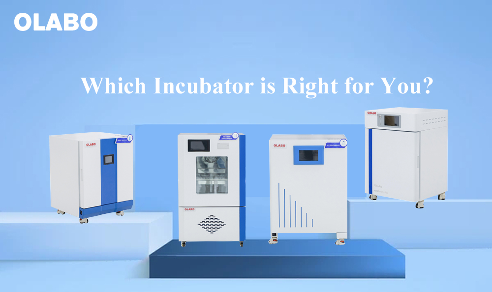 Which Incubator is Right for You?