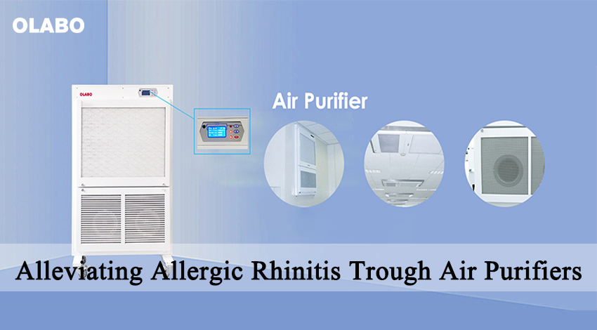 Alleviating Allergic Rhinitis Through Air Purifiers